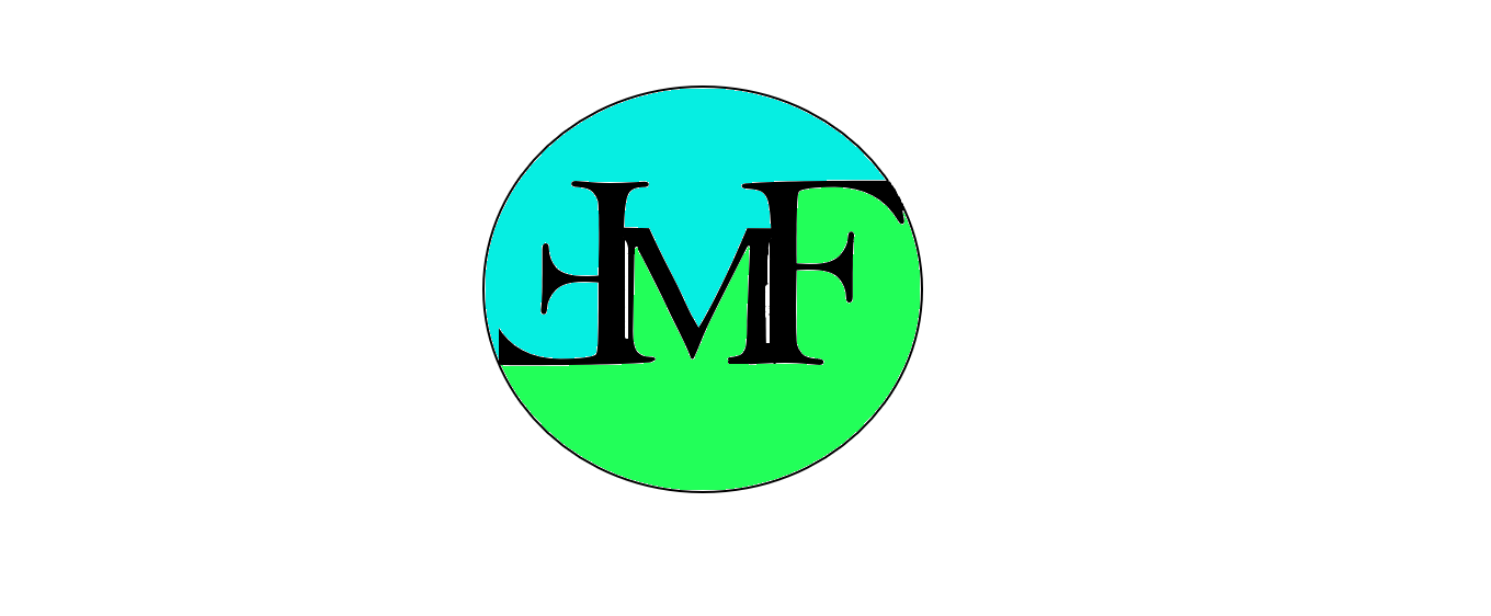 The logo reads: 'FMF' which stands for Finance Made Fun. We chose the colours blue and green as we thought it would best suit our idea. 