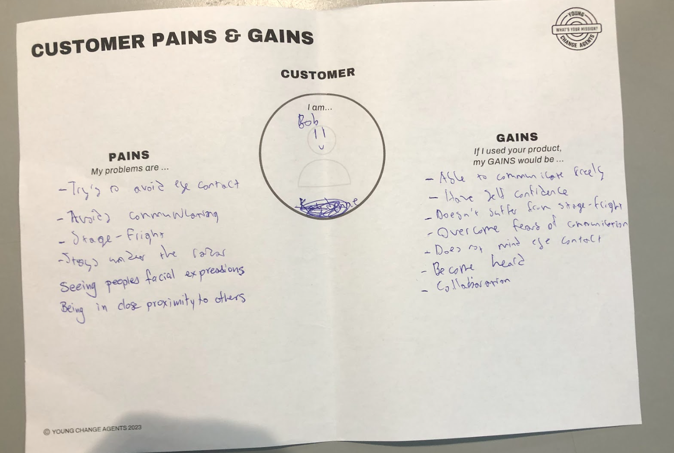 CUSTOMER PAINS AND GAINS