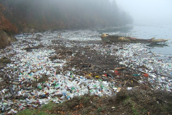 a beach covered in rubbish