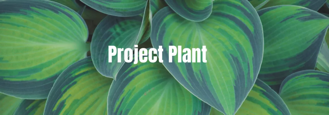 Project Plant banner with images of plants