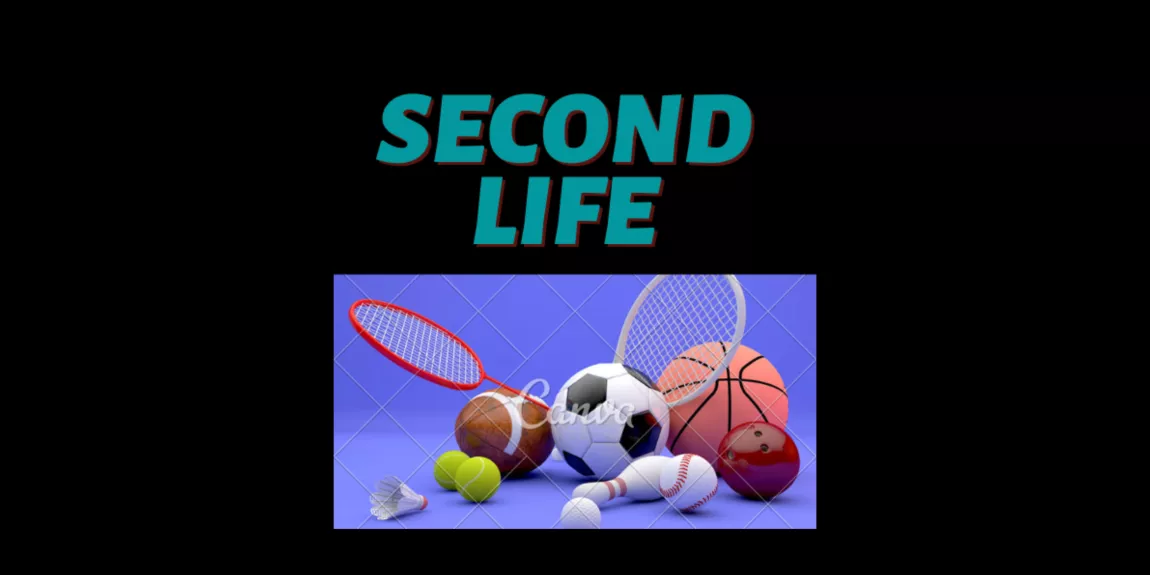 Second Life Banner