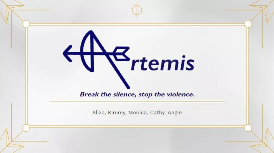 Pitch presentation from Team Artemis